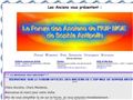 Le Forum des Anciens de l\'IUP MGE de Sophia Antipoils