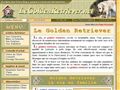 le chien, le golden retriever