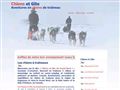 les chiens du grand nord