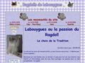 Les Ragdolls de Labouygues