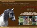Le cheval andalou vente de chevaux ibérique
