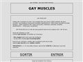 gay muscles