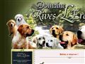 Golden loire atlantique : Elevage du domaine des Rives de l\'Erdre, eleveur golden retriever - Liens