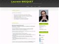 Laurent briquet - Site personnel