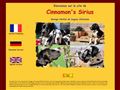 Elevage familial de dogue allemand harlequin et noir