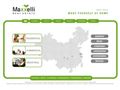 Maxxelli.net | Official Website of Maxxelli Real Estate | Suzhou | Wuxi | Chengdu | Hangzhou | Chong
