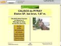 Calisco du Pitray, Ã©talon performer SF