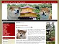 Akita inu Ken - Akitas du temple des Shogun - Accueil - News