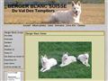 Berger Blanc Suisse