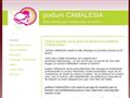 Podium-camalesia