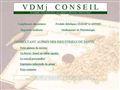 VDMj Conseil