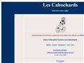 Les Cabochards Agility