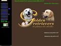 Golden Retriever Du Plateau Des Abeilles