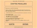 chattes mouillees
