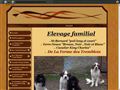 elevage de st bernard terre neuve cavalier king charles de la ferme des tremblois