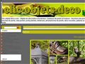 Clic objets deco.com - Décoration d' extérieur