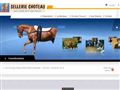 Matériel équitation, Academy Horse à Bouillargues (30