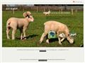 Vente, achat moutons, Joly Robert à Lévignac de Guyenne (47)