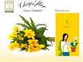 Fleuriste, ChrysFlor à Cerdon du Loiret (45)