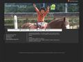 Équitation, pension, Centre Equestre De Melay à Melay (49)