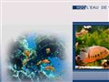 Réalisation daquarium, H2O LEau de Vie à Villeveyrac (34)