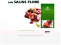 Fleuriste, Salins Flore à Salins les Bains (39)