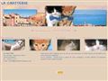 Garderie de chats, La Chatterie à Martigues (13)