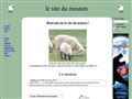 raconte moi un mouton