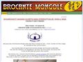 brocantemongole