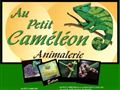 Animalerie, Au Petit Caméléon à Loudun (86)