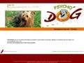 Education canine, Psychodog à Villaines Sous Luce (72)