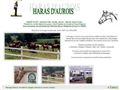 Elevage et formation équestres, Haras DAurois à Servilly (03)