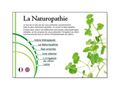 Candide Loiseleur Naturopathe à Paris (75019) -  Spécialisée dans lirrigation du côlon