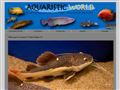 aquaristic-world.ch