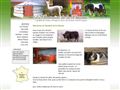 Elevage de la Chaume, location  de Yourtes, élevage de Yacks, mini poneys, chèvres angora, Shih Tzu