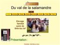 Elevage familial de chiens et chiots Shih-tzu LOF du val de la Salamandre