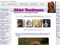 Chiot Tendresse.com Spécialiste de la vente de chi