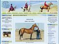 Akhal-Teke France ATF Association cheval AkhalTeke