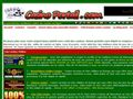 Casino Portail - Jouez et gagnez -