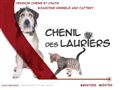 Chenil des Lauriers, pension chiens et chats