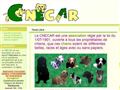 cnecar : club narbonnais d\'éducation canine et dagility récréative