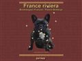 elevage de france riviera - bouledogue français lof