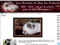 LE CHAT SACRE DE BIRMANIE : un Animal de légende