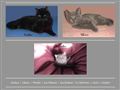 My Cats : Chat des Chartreux