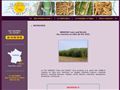 Sarl MARION Cane & Reeds