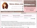 Site de chien