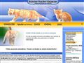 Petites annonces animaux. Le site utile pour trouver un animal de compagnie.