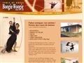 Boogie-Woogie Danse Club à Eysines (33) : swing, rock'n'roll, boogie-woogie, lindy-hop