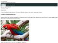 *** i-parrot.net*** perroquets et perruches