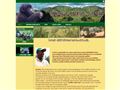 Bizidanny Tours &amp; Safaris in Rwanda